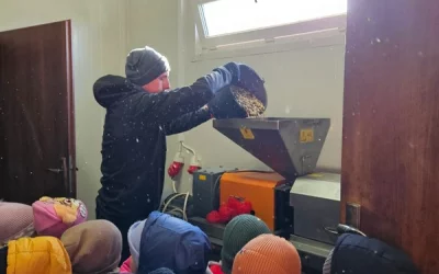 Skrzaty i Motylki w gospodarstwie ekologicznym