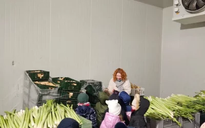 Skrzaty i Motylki w gospodarstwie ekologicznym