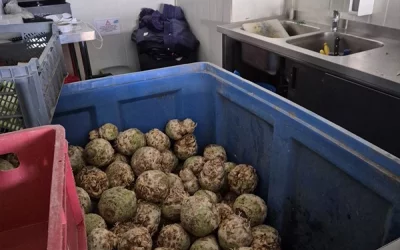 Skrzaty i Motylki w gospodarstwie ekologicznym