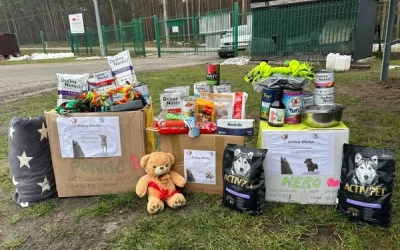 Akcja charytatywna dla zwierząt