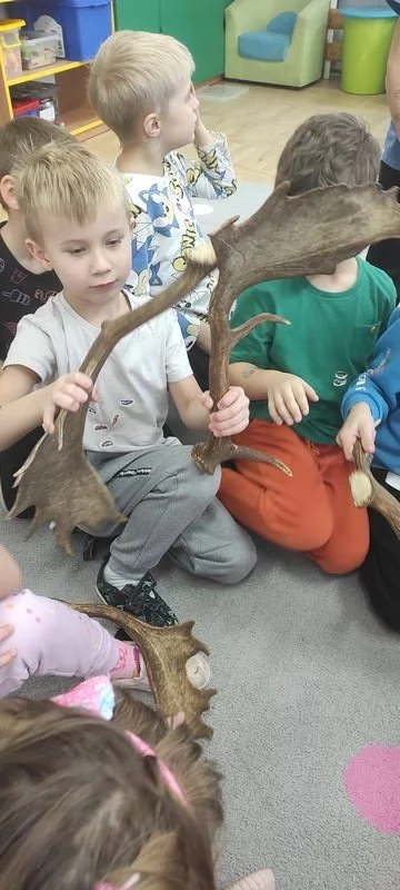 Skrzaty i zwierzęta leśne