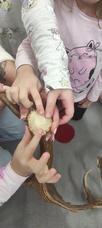 Skrzaty i zwierzęta leśne