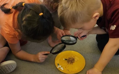 Grupa SKRZATY realizuje program