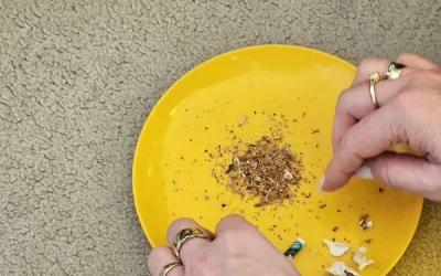 Grupa SKRZATY realizuje program